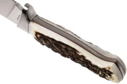 Böker Arbolito Hunter 02BA351H Couteau De Chasse -Couteaux Prestige Magasin BO02BA351H 04 boker bo02ba351h 04