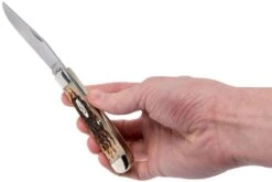 Case Trapper Amber Jigged Bone, 00163, 6254 CV Couteau De Poche -Couteaux Prestige Magasin CE163 09 case ce163 09