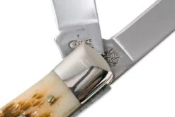 Case Trapper Amber Jigged Bone, 00164, 6254 SS Couteau De Poche -Couteaux Prestige Magasin CE164 06 case ce164 06