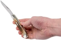 Case Trapper Amber Jigged Bone, 00164, 6254 SS Couteau De Poche -Couteaux Prestige Magasin CE164 09 case ce164 09