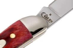 Case Small Texas Toothpick Pocket Worn Old Red Bone 00792 610096 SS Couteau 14 Case Small Texas Toothpick Pocket Worn Old Red Bone 00792 610096 SS Couteau -Couteaux Prestige Magasin CE792 05 case ce792 05