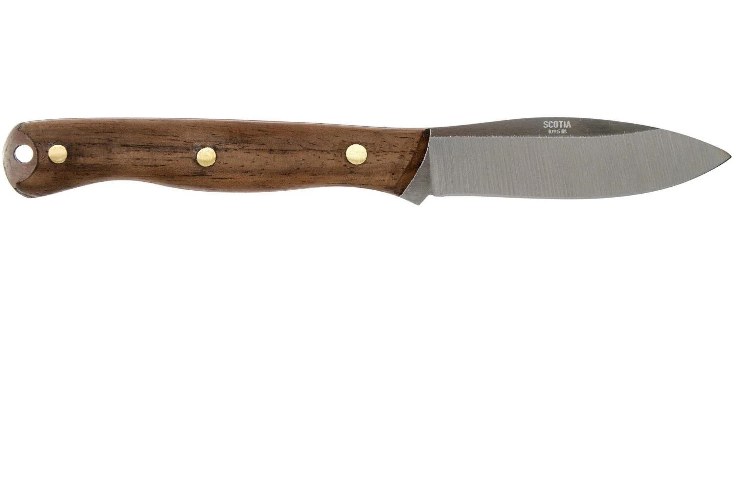 Condor Scotia Knife 102-3.55HC Couteau Outdoor 60045 4 Condor Scotia Knife 102-3.55HC Couteau Outdoor 60045 – Image 2