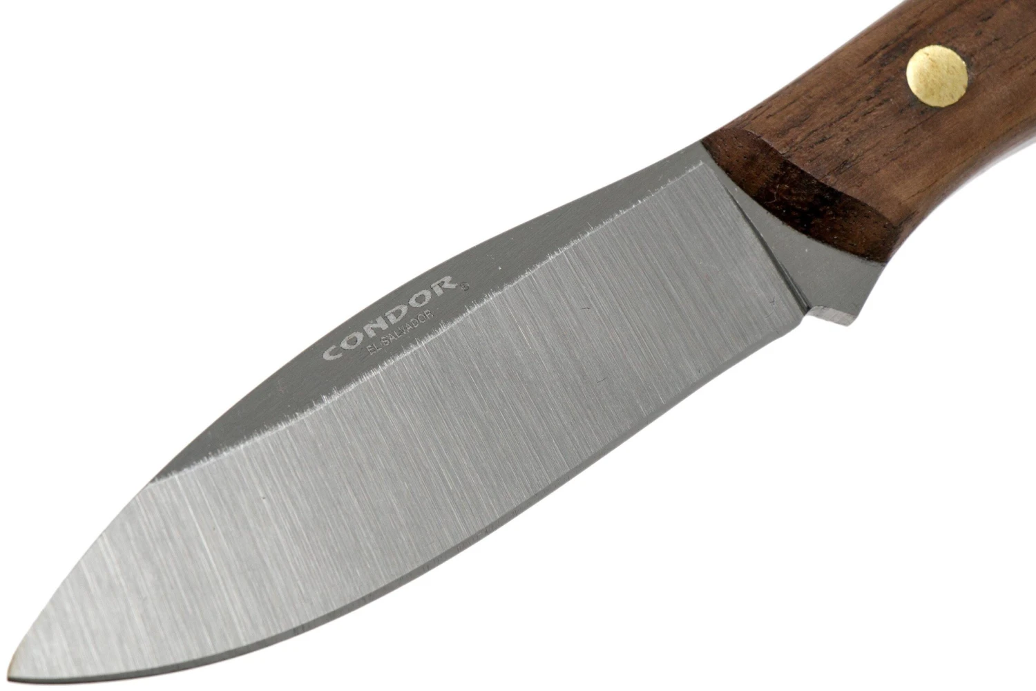 Condor Scotia Knife 102-3.55HC Couteau Outdoor 60045 5 Condor Scotia Knife 102-3.55HC Couteau Outdoor 60045 – Image 3