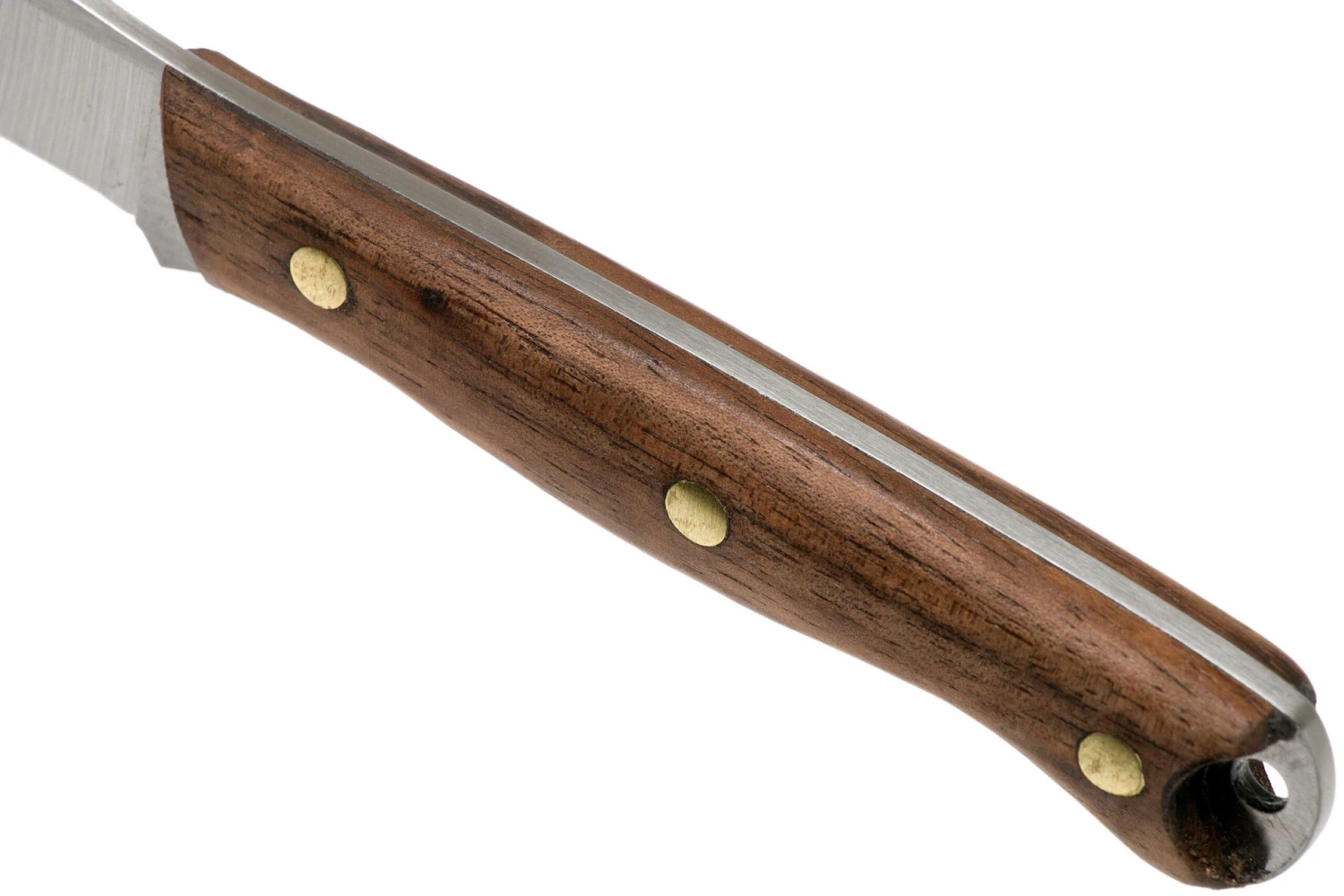 Condor Scotia Knife 102-3.55HC Couteau Outdoor 60045 7 Condor Scotia Knife 102-3.55HC Couteau Outdoor 60045 – Image 5