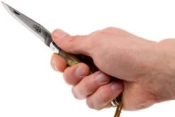 Forge De Laguiole 12110INCABDF, Corne D'Aubrac -Couteaux Prestige Magasin LA12110INCABDF 07 forge de laguiole la12110incabdf 07