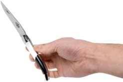 Forge De Laguiole Airbus A350 1211 INAIRBUS Couteau Laguiole -Couteaux Prestige Magasin LA1211INAIRBUS 07 forge de laguiole