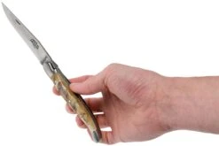 Forge De Laguiole 12 Cm 1212INBESAT Corne De Bélier, Couteau Laguiole -Couteaux Prestige Magasin LA1212INBESAT 08 forge de laguiole