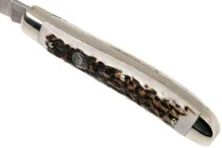 Robert Klaas US Trapper 95mm Real Stag 412-1-251-TRS Couteau De Poche -Couteaux Prestige Magasin RS412 1 251 TRS 06 robert klaas rs412 1 251 trs 06