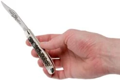 Robert Klaas US Trapper 95mm Real Stag 412-1-251-TRS Couteau De Poche -Couteaux Prestige Magasin RS412 1 251 TRS 07 robert klaas rs412 1 251 trs 07